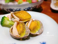 -黑松白鹿(崇文门新活馆店)