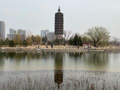 -西海子公园