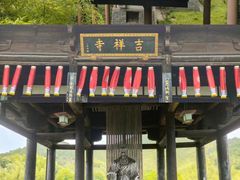 -大唐贡茶院