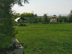 -亲兄弟真人CS团建拓展基地