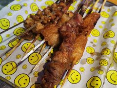 碳烤红柳羊肉-新疆烧烤王(广灵店)