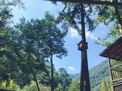 -宁海森林温泉