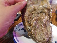 -蚝堡海鲜·威海菜·海肠捞饭·烧烤·亚洲吃蚝公司(幸福门店)