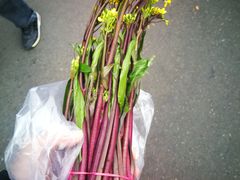 -中山美食街