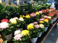 -果蔬好生活超市(乐堤港店)