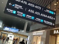 -谢列梅捷沃国际机场