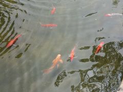 -燕郊植物园