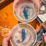 还有人没吃过这家龙虾汤泡饭我都会伤心OK？！