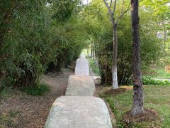 -暨阳湖生态园