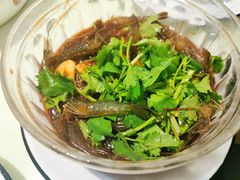 醉虾-王记姚家味·地道苏帮菜(凤凰街店)