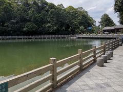 -广州市帽峰山景区