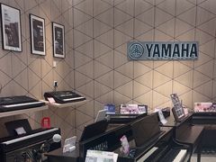 -知音艺术教育培训·钢琴培训·音乐培训(河西金鹰世界校区)