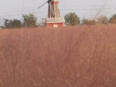 -羊亭河湿地公园