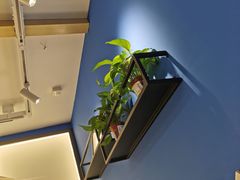 -OZ cafe(南昌路店)