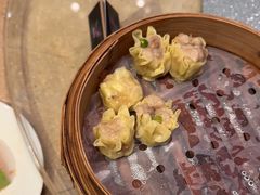 -怡聚轩全日制自助餐厅(大中华喜来登酒店)