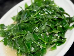 炒野菜-华冠悠岚·庭院餐厅(青城后山店)