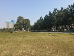 -艾溪湖湿地公园