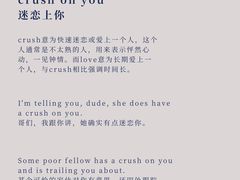 -引领英语·成人口语·雅思托福