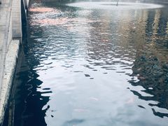 -番禺宾馆丽苑厅