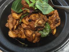 三杯鸡-芒果爆爆(东海缤纷店)