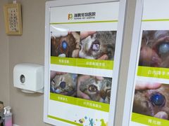 -瑞鹏宠物医院·眼科·皮肤·中兽医(大悦城分院)