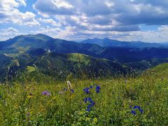 -灵山