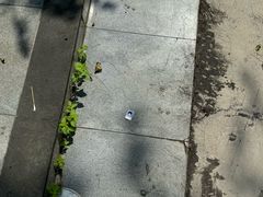 -广东外语外贸大学(白云山校区)