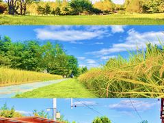 -沉浸北京·团建旅行·密室剧本杀·年会会议轰趴拓展
