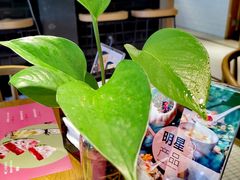 -炖物24章·顺时轻养茶(杭州大厦店)