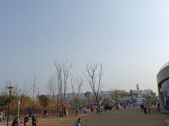 -九龙湖公园