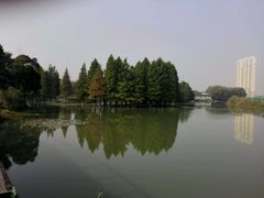 -白塘生态植物园