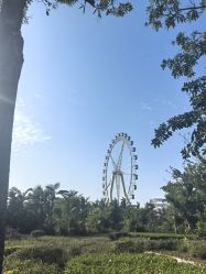 -白沙门公园游乐场