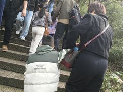 -杭州半山国家森林公园