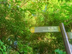 -深圳仙湖植物园