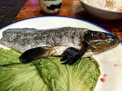 -大理.老字号渝记酸萝卜乌鱼(古城总店)