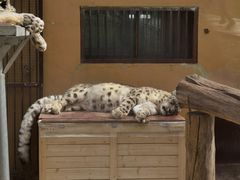 -青藏高原野生动物园