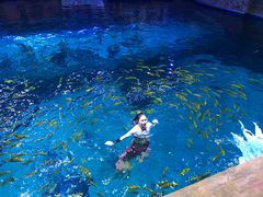 -华夏文旅海洋公园