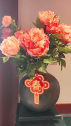 -爱儿美儿童摄影(五路居花园别墅店)