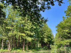 -西溪国家湿地公园