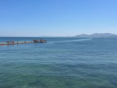 -养马岛旅游度假区