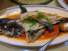 -潮福城潮州大酒楼(湖滨北路店)