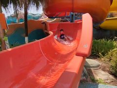 -重庆海昌加勒比海水世界