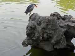 -常熟方塔园