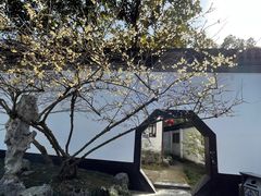 -上海醉白池公园