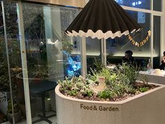 -春树下·树屋花房西餐厅(罍街AS1980店)