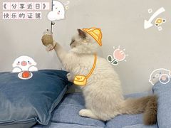 -FULL MOON满月咖啡