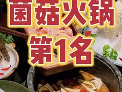 -菌之家·专业纯野生菌火锅·特色炒菌