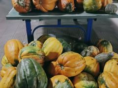 -穆湖渔村饭庄·住宿·钓鱼