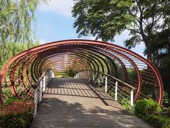 -南翔镇银翔湖公园