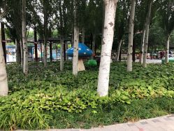 -大望京儿童游乐场